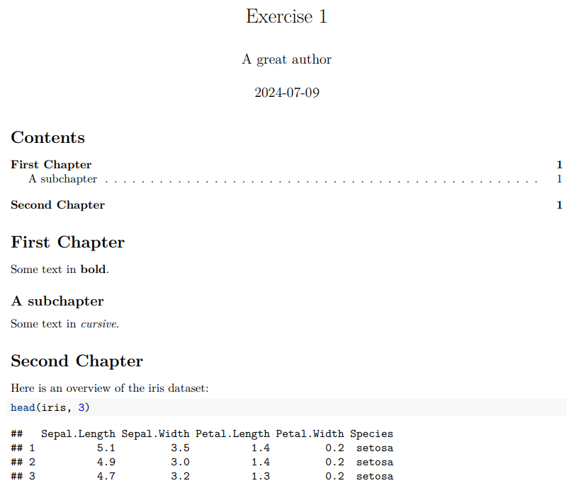 Rmd Example Template